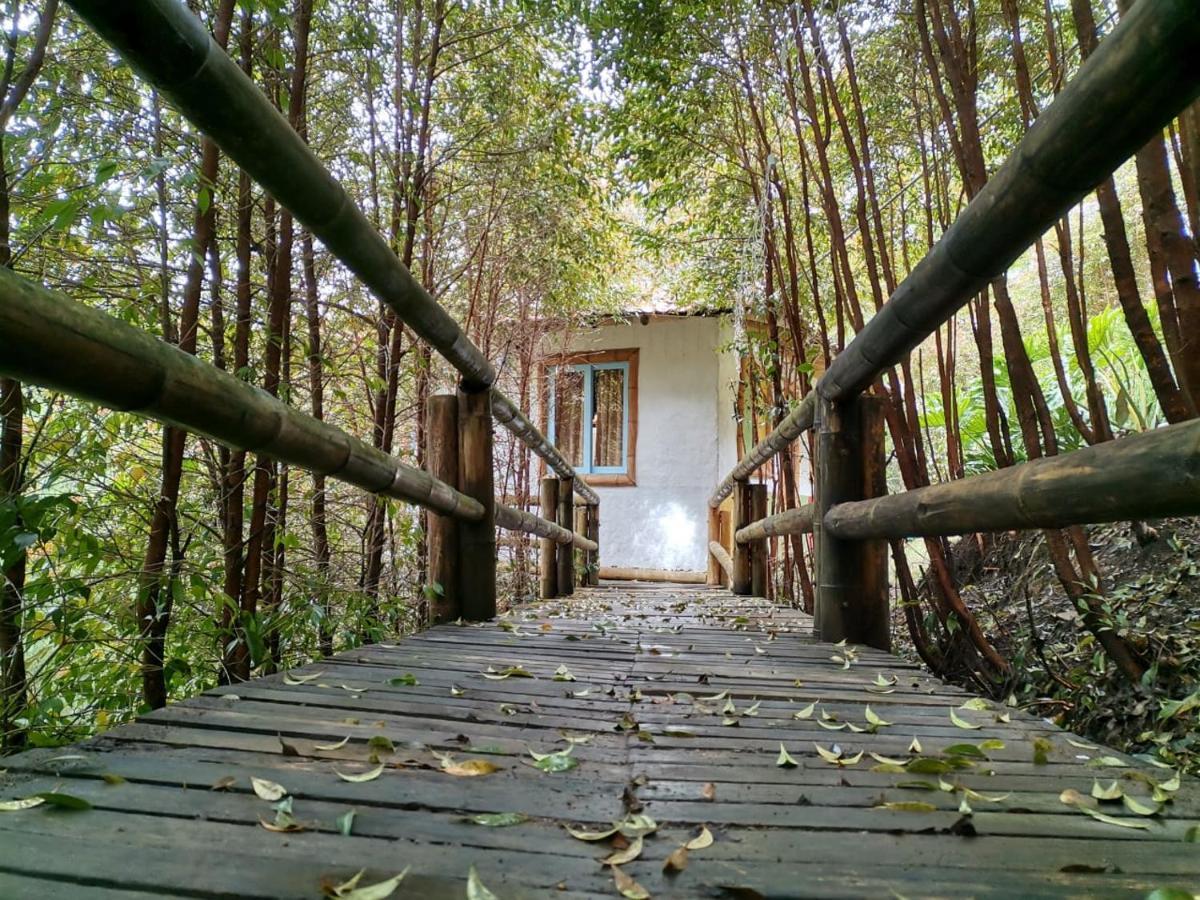 Eco Hotel Terrabella サンタ・エレナ エクステリア 写真
